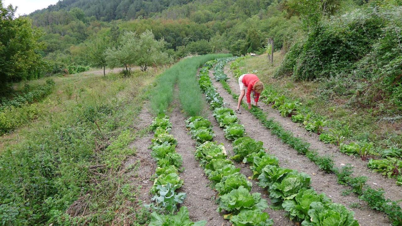 Farm stay Agriturismo Giandriale *