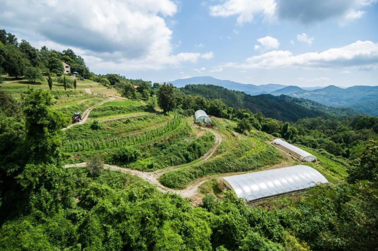 Giandriale Vakantieboerderij *