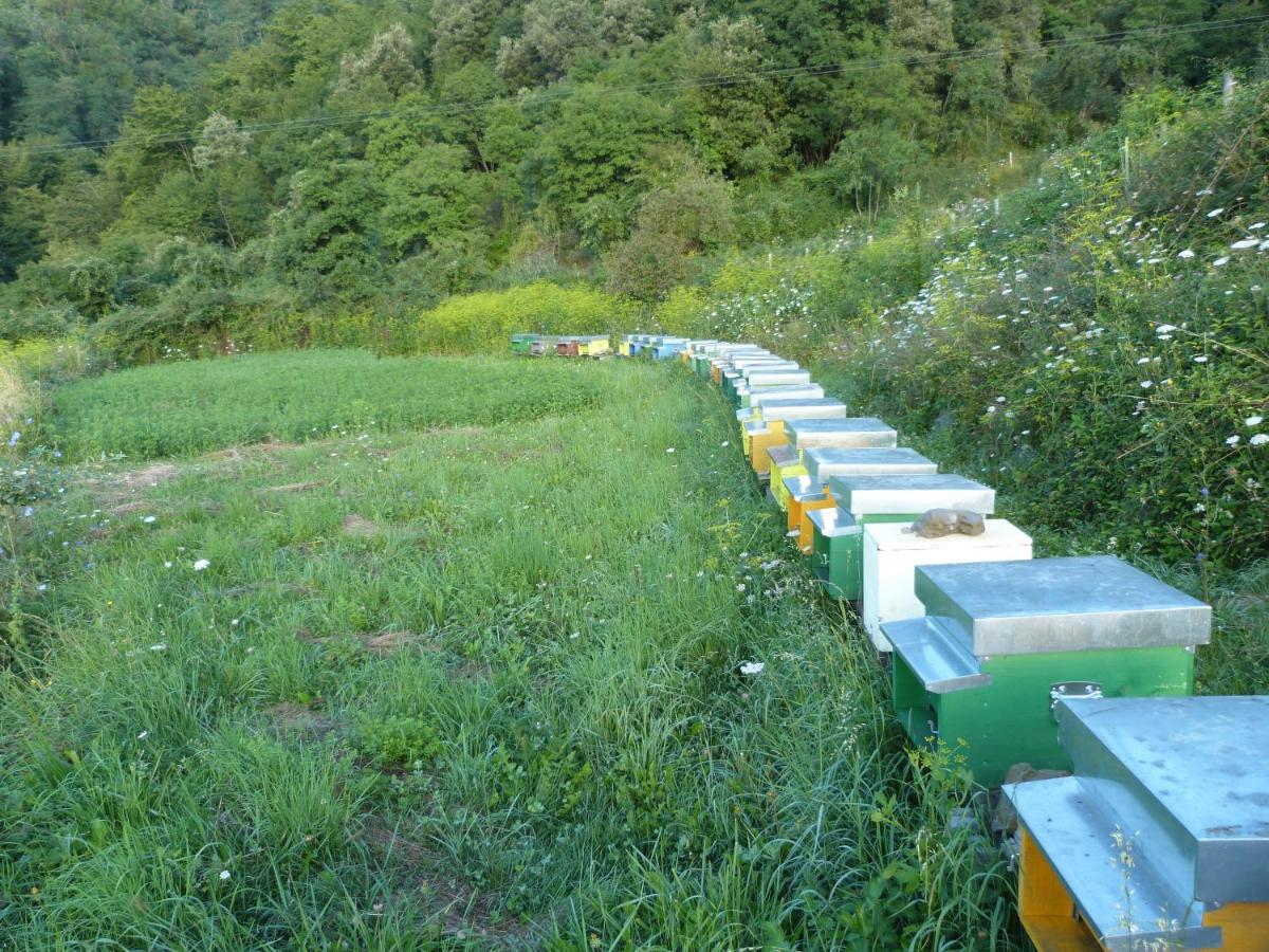 Séjour à la ferme Giandriale