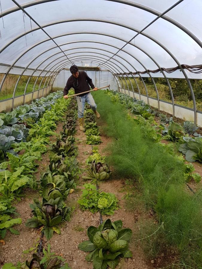 Giandriale Séjour à la ferme Tavarone