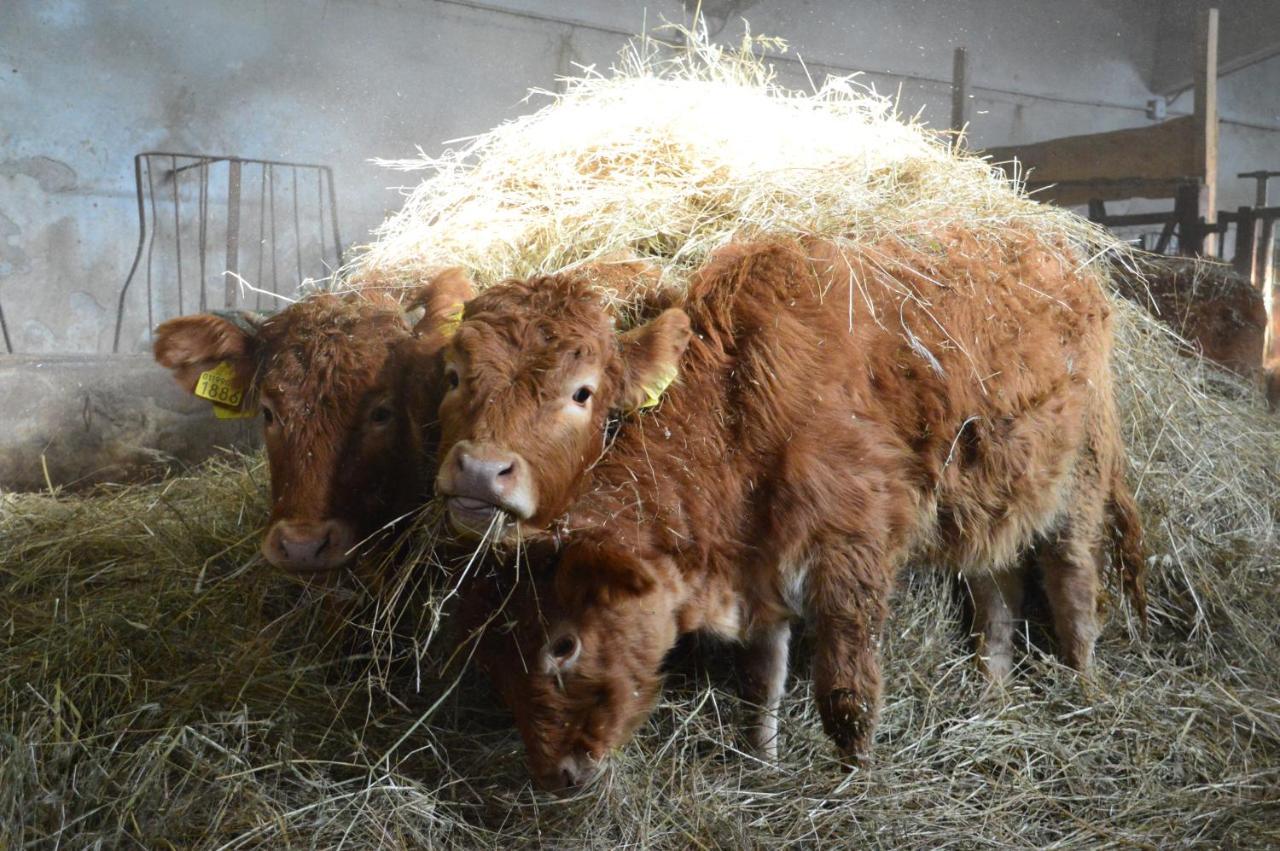 Giandriale Séjour à la ferme