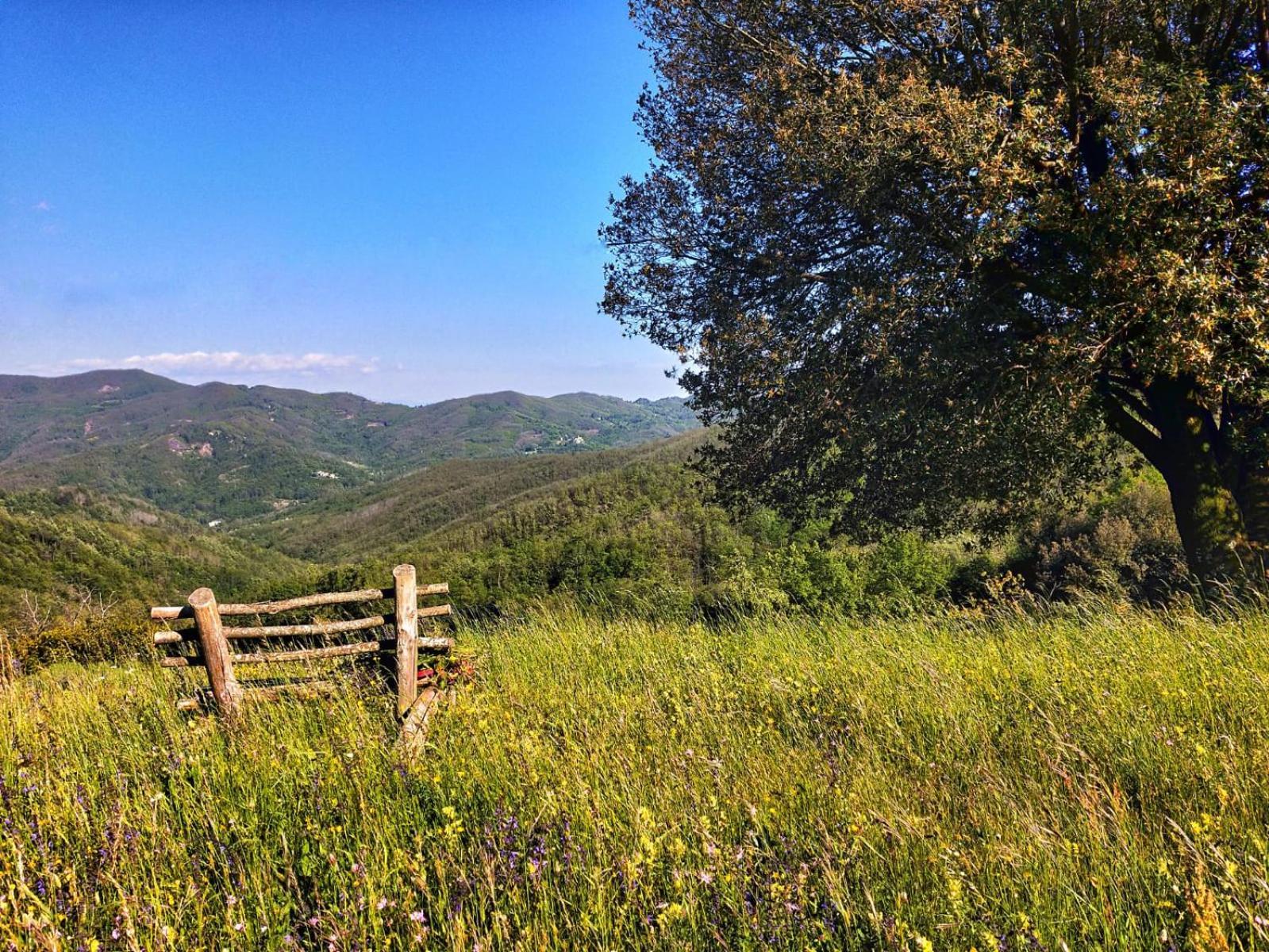 Alloggio per agriturismo Giandriale *